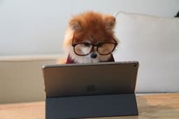 Hund mit Brille und iPad